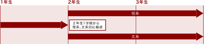 3年間のおおまかな流れ