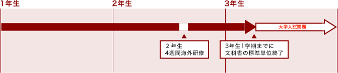 3年間のおおまかな流れ
