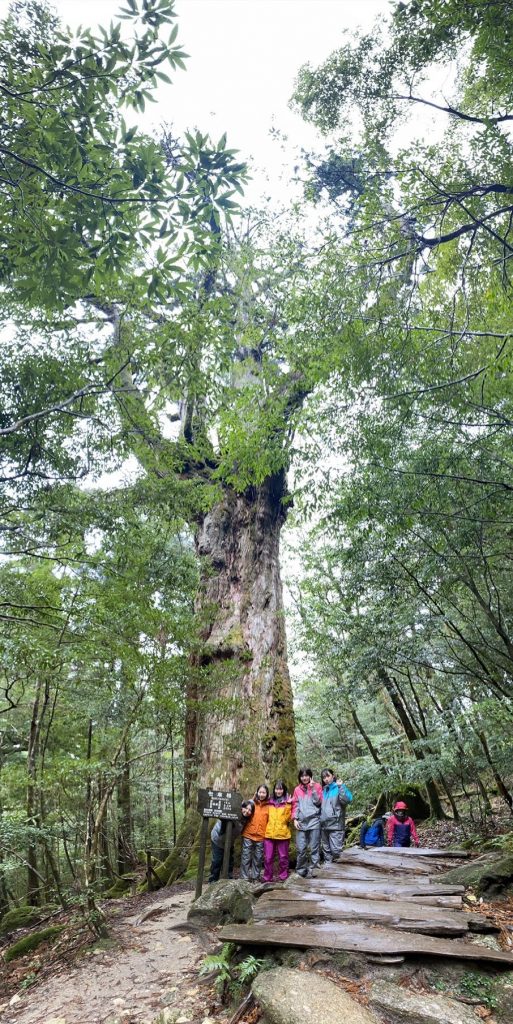 【第2学年 探究型体験旅行】  2都市からアンバサダーに任命！