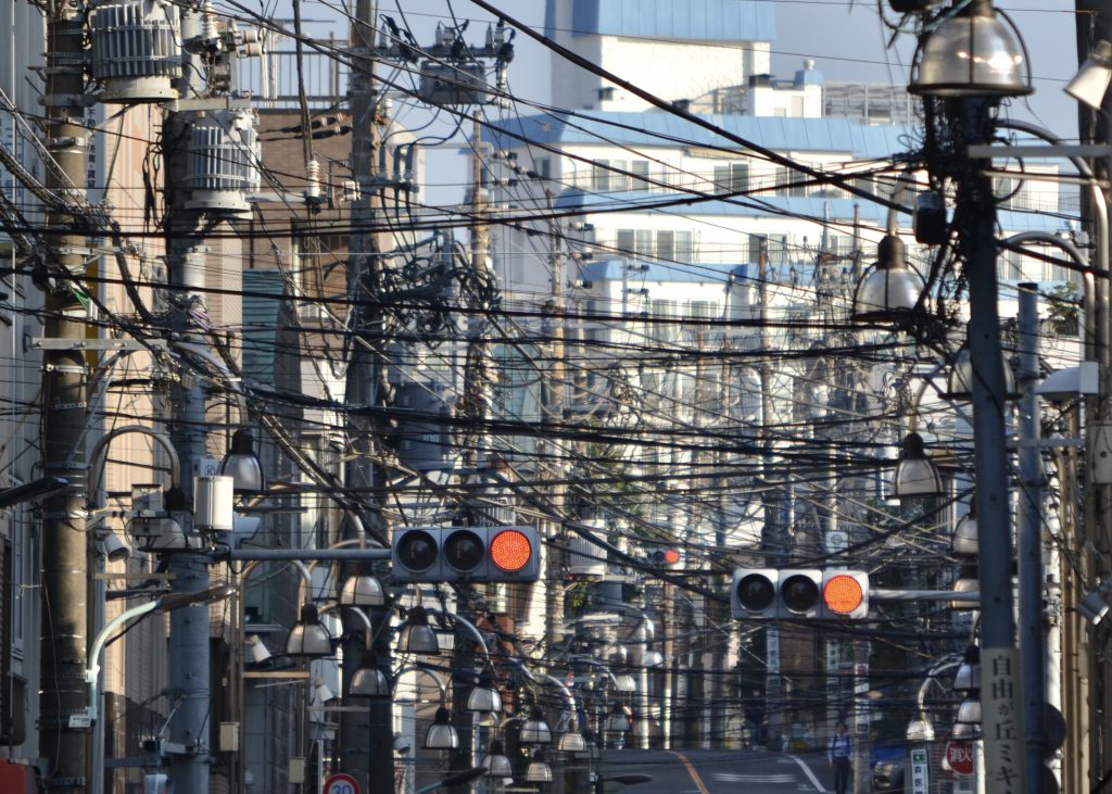 本校1年生が、東京都知事賞を受賞しました！