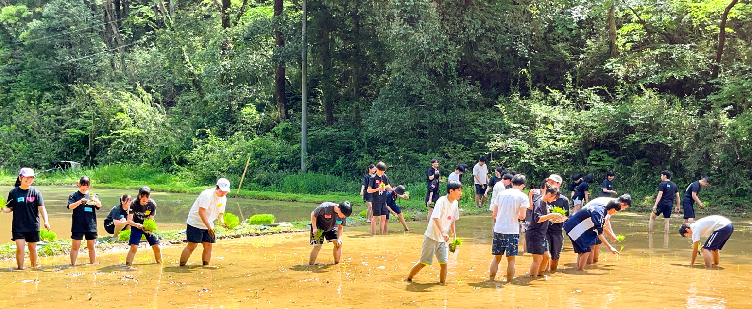 体験学習の様子