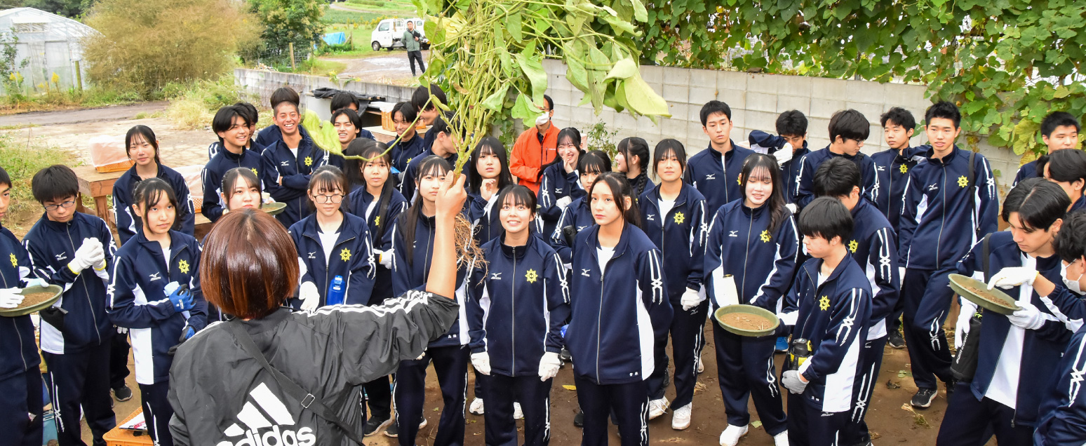 体験学習の様子